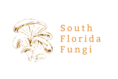 south-florida-fungi-logo